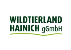 Logo Wildtierland Hainich gGmbH
