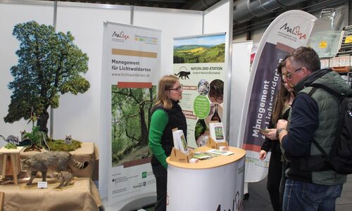 Im Gespräch mit Waldbesitzenden auf der Forst³ 2025