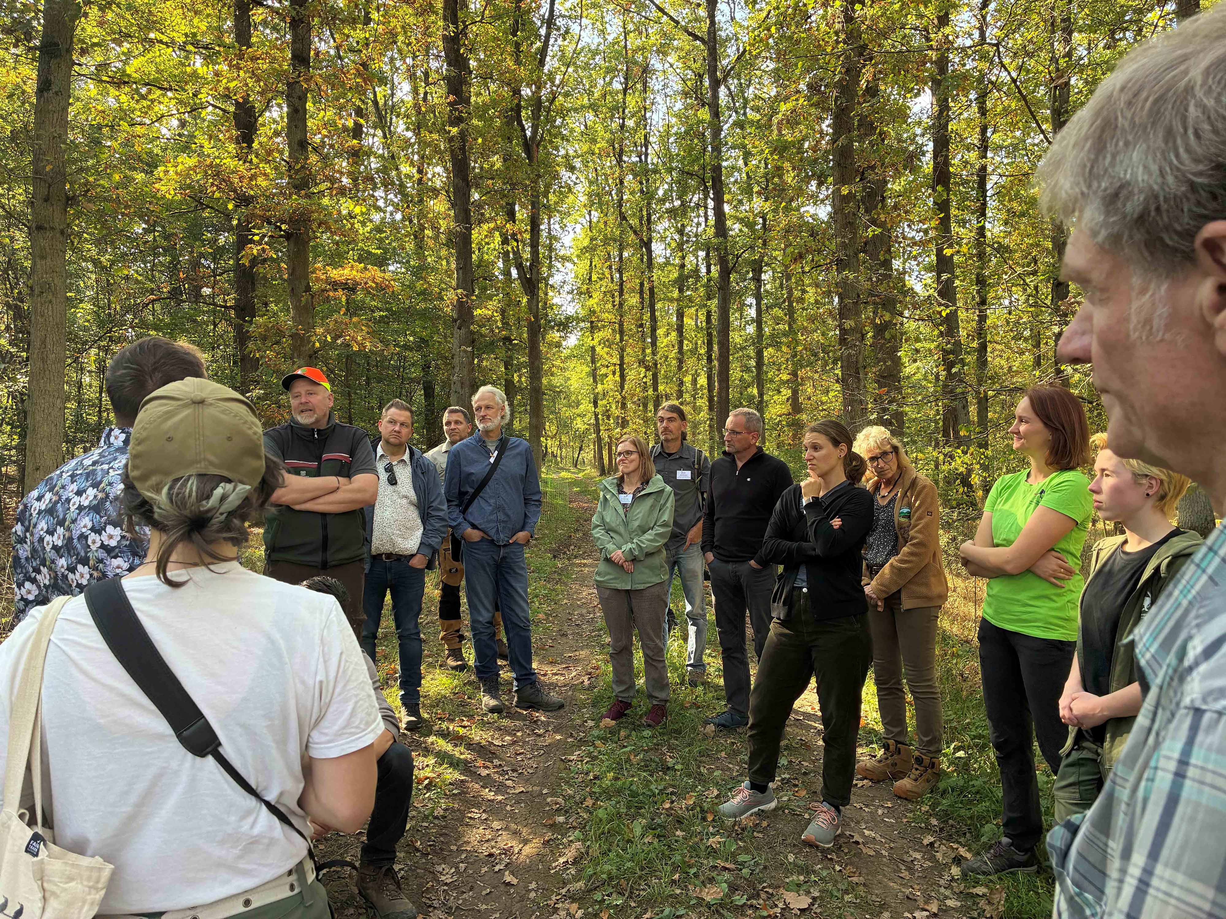 Erläuterungen der forstlichen Eingriffe und Waldweide im Naturschutzgebiet Lachenwäldchen durch Forstamtsleiter Lars Wollschläger
